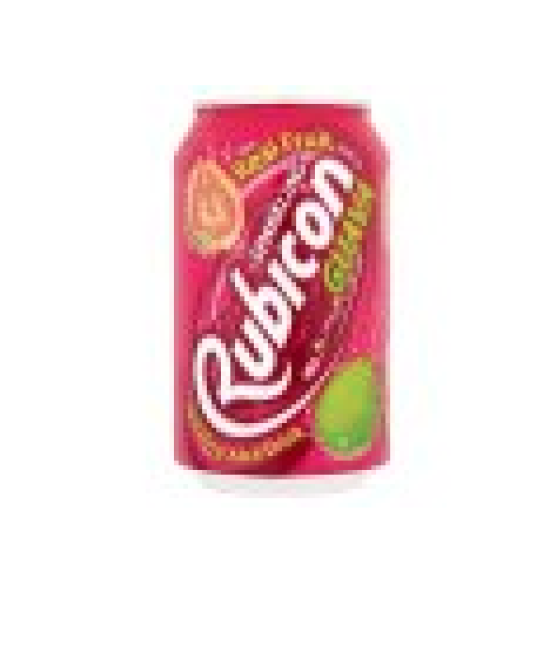 GUAVA 24X330ML